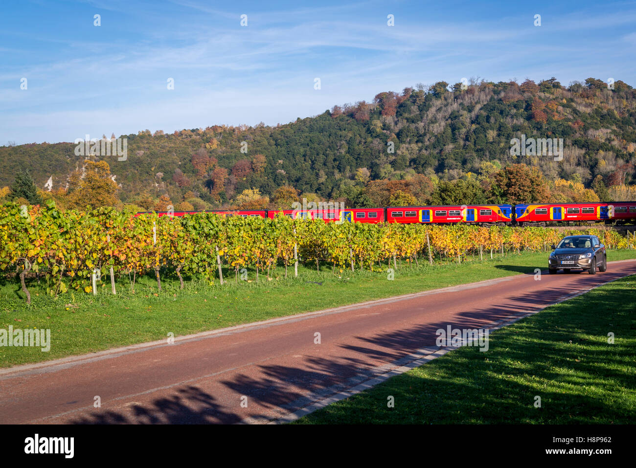 Southern Railway train passing by Denbies vineyard, Dorking, Surrey, England, UK Stock Photo