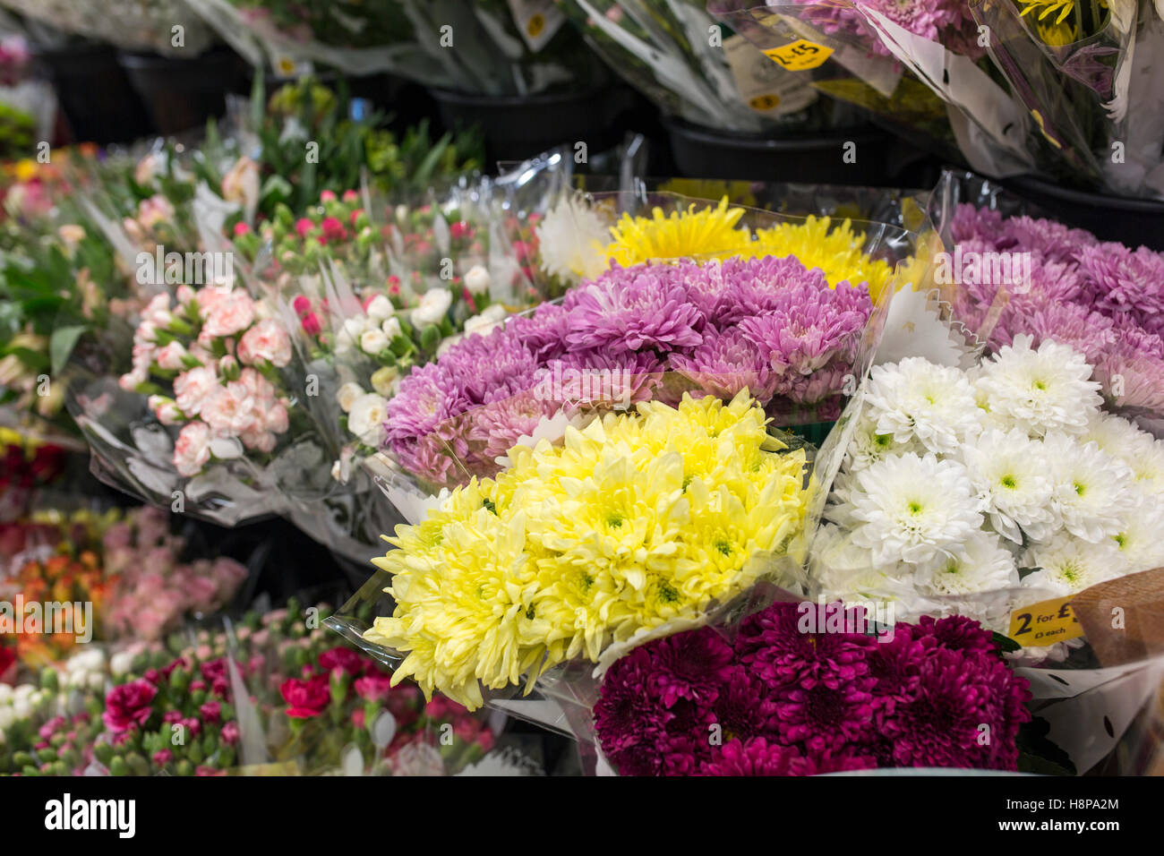 inside a British supermarket store. Flowers for sale Stock Photo Alamy