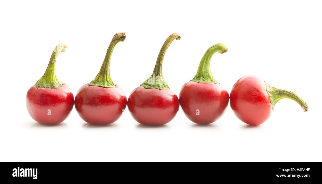 Round chili peppers isolated on white background Stock Photo - Alamy