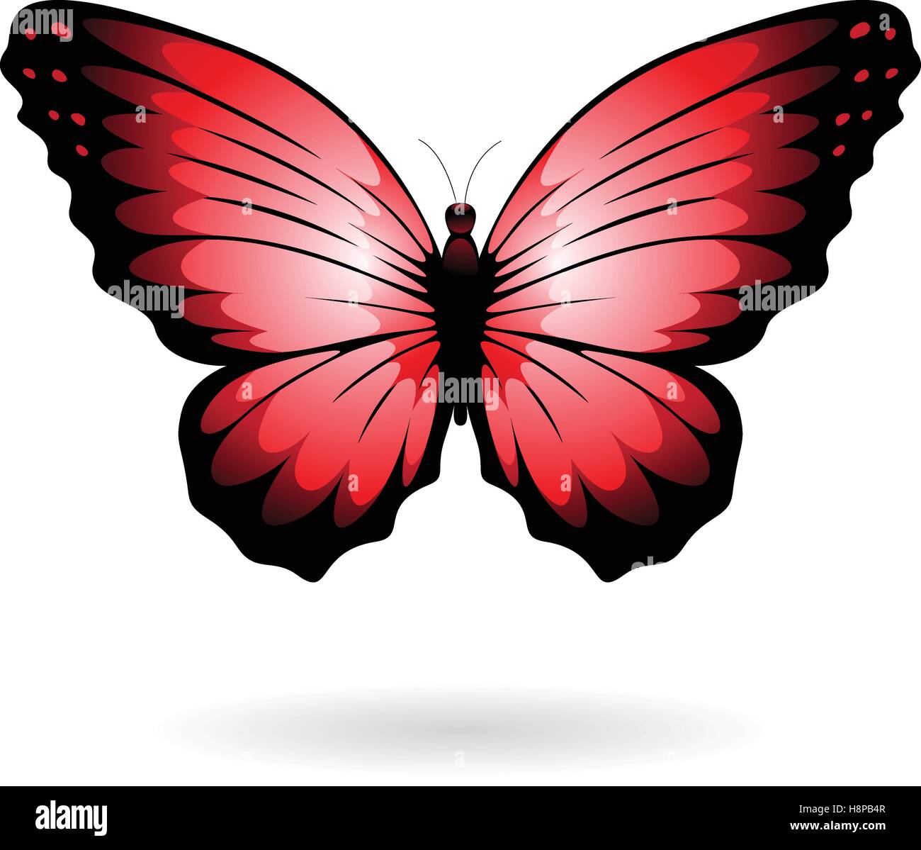 Vector Illustration of a Colorful Butterfly isolated on a white ...