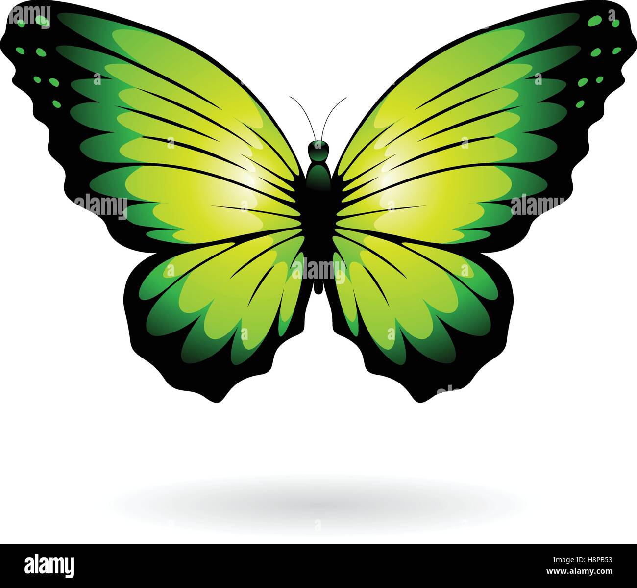 Vector Illustration of a Colorful Butterfly isolated on a white ...
