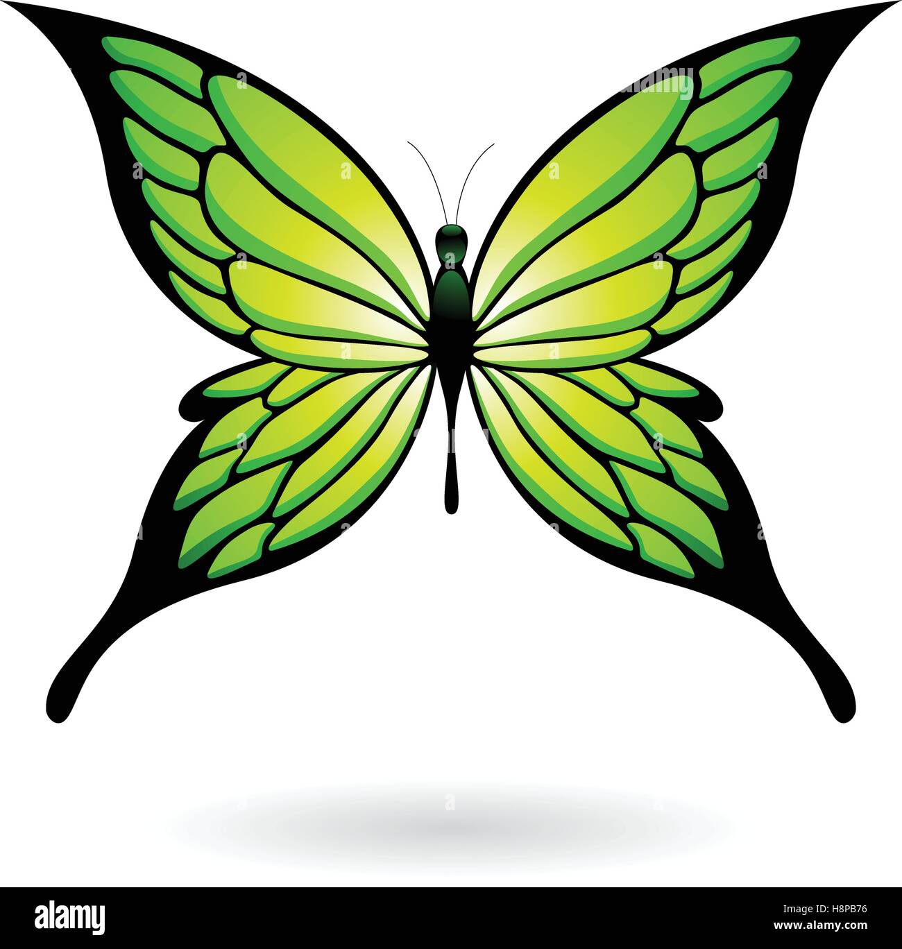 Vector Illustration of a Colorful Butterfly isolated on a white ...