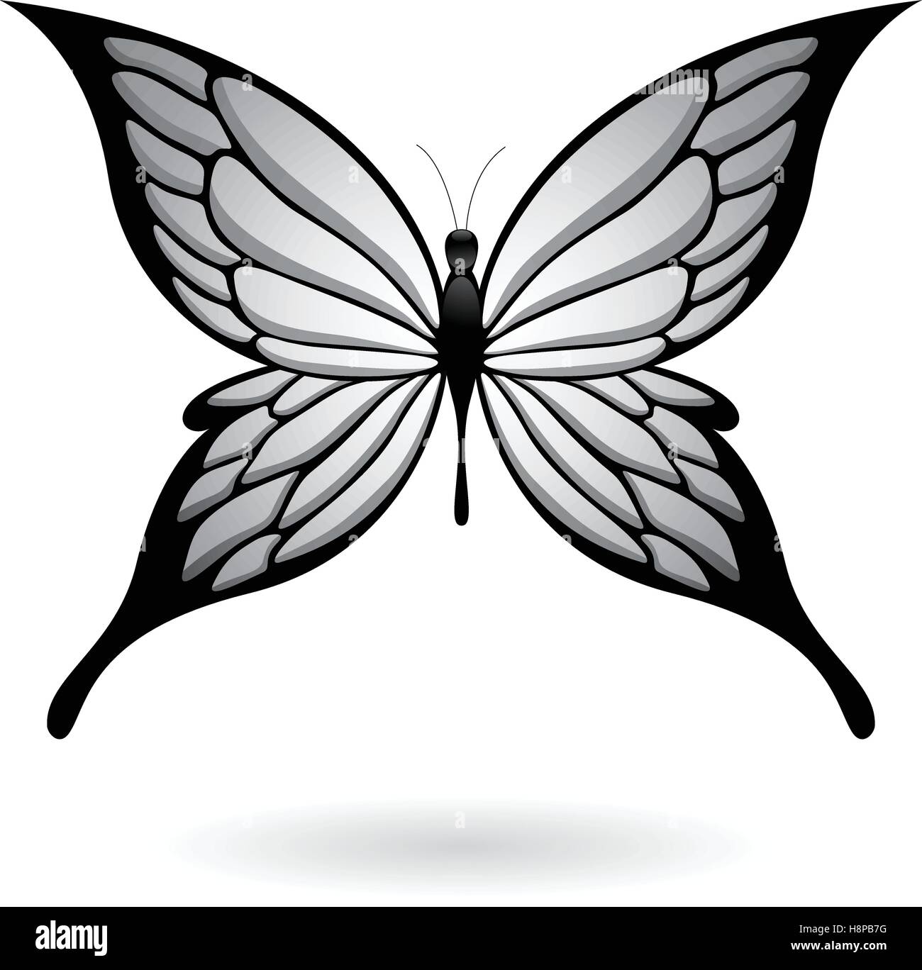 Vector Illustration of a Colorful Butterfly isolated on a white ...