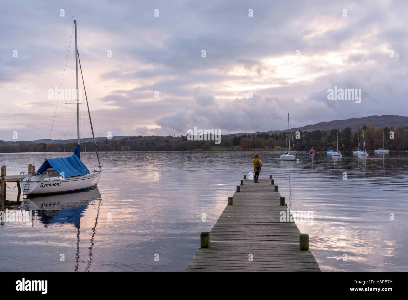 Lake Windermere lake district Cumbria North West England. Autumn colours Ambleside Waterhead Lone figure solitary person Stock Photo