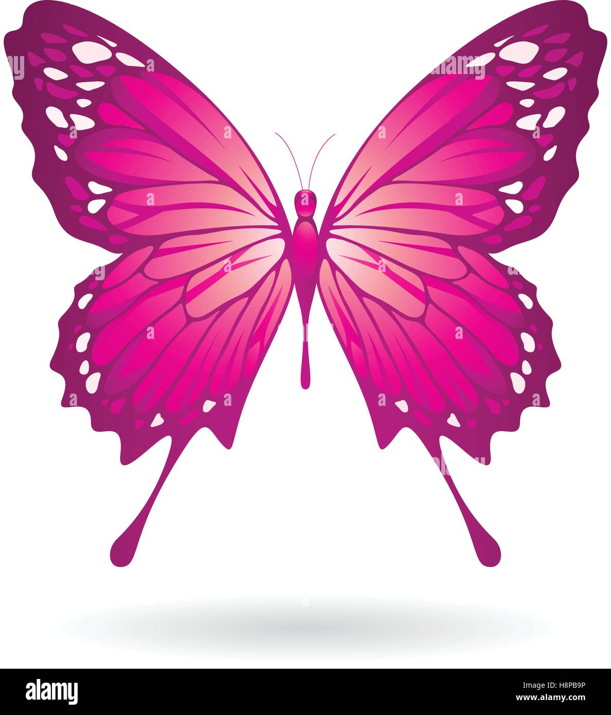 Vector Illustration of a Colorful Butterfly isolated on a white ...