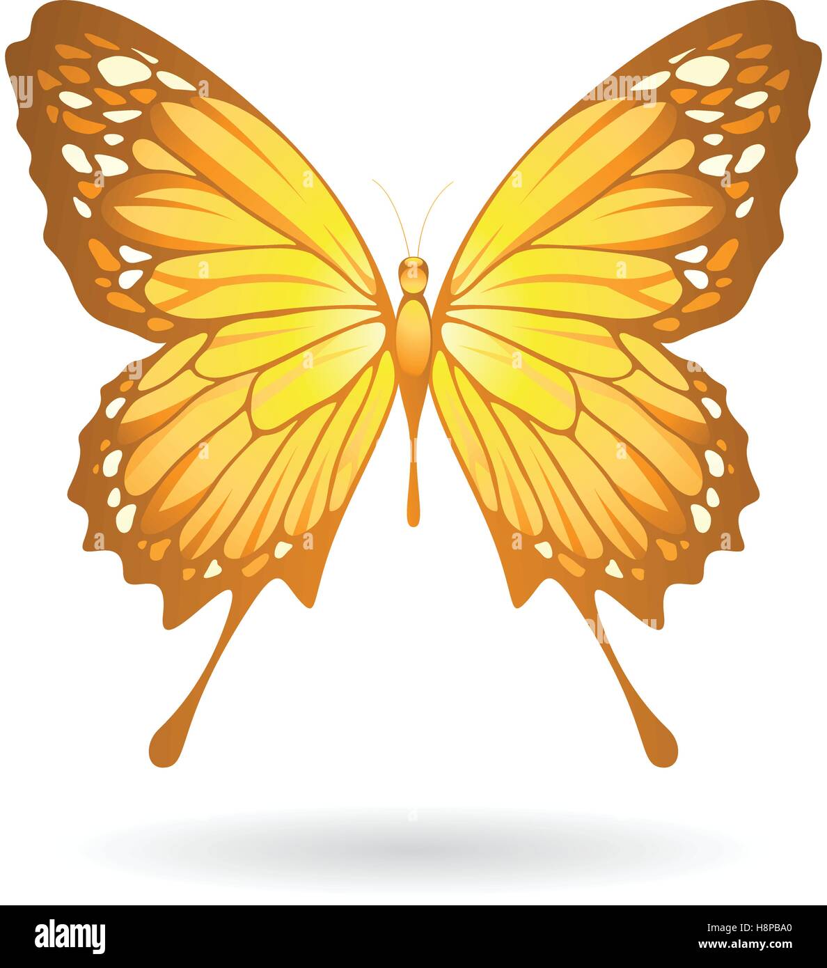 Vector Illustration of a Colorful Butterfly isolated on a white ...