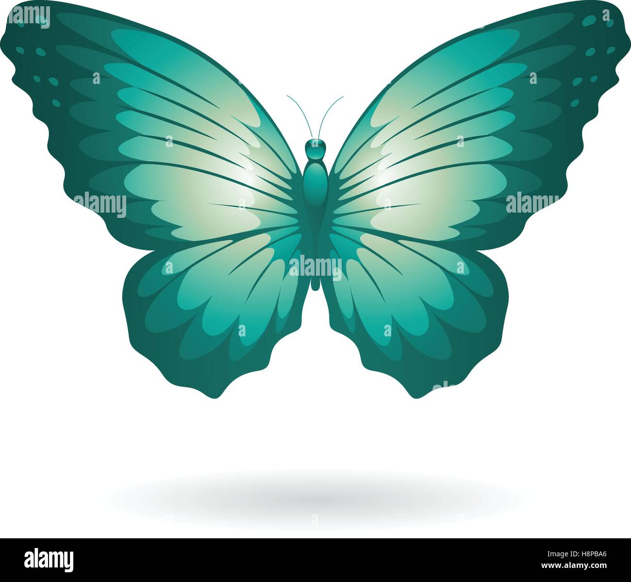 Vector Illustration of a Colorful Butterfly isolated on a white ...