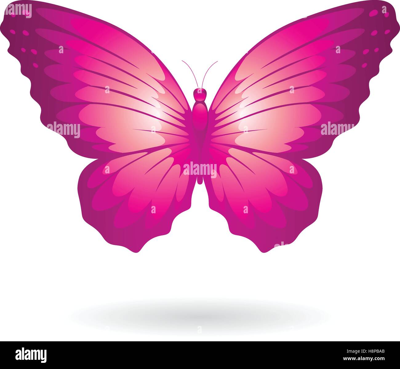 Vector Illustration of a Colorful Butterfly isolated on a white ...