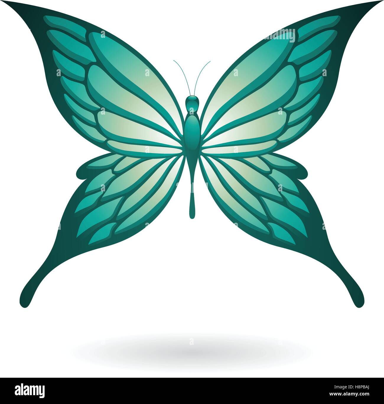 Vector Illustration of a Colorful Butterfly isolated on a white ...