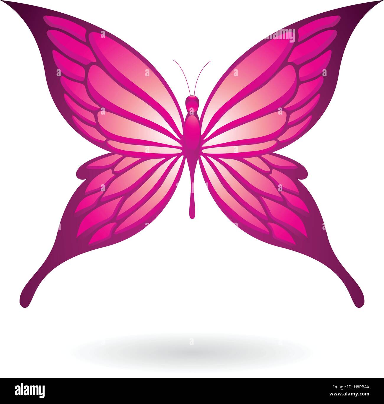 Vector Illustration of a Colorful Butterfly isolated on a white ...