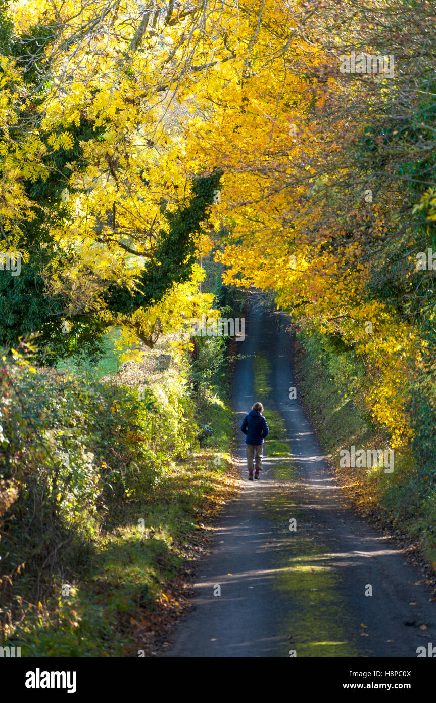 Woman walking down country lane hi-res stock photography and images - Alamy