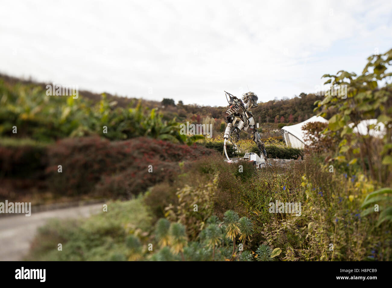 Weee man sculpture eden project hires stock photography and images Alamy