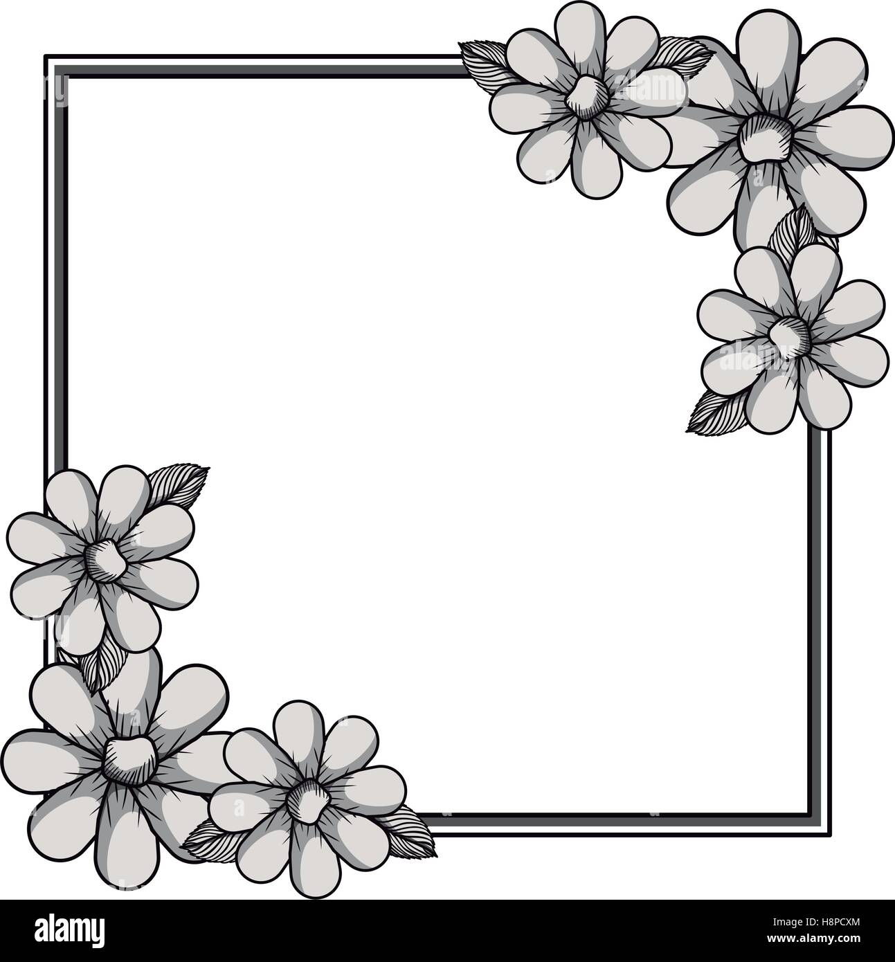 Simple Floral Vector Borders