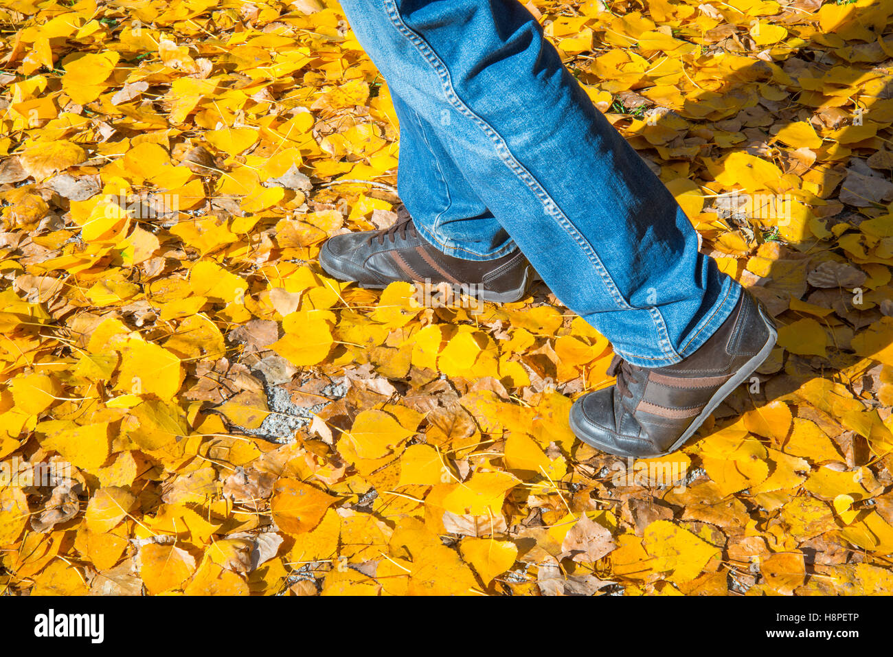 Man's legs walking on Autumn leaves Stock Photo - Alamy