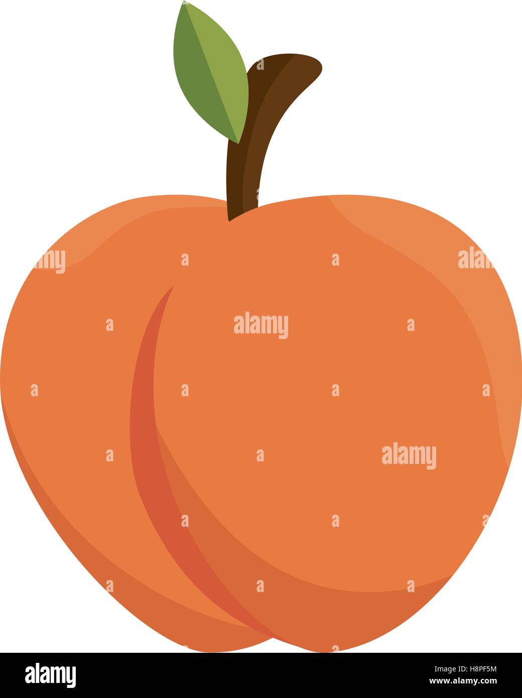fresh fruit isolated icon vector illustration design Stock Vector Image ...