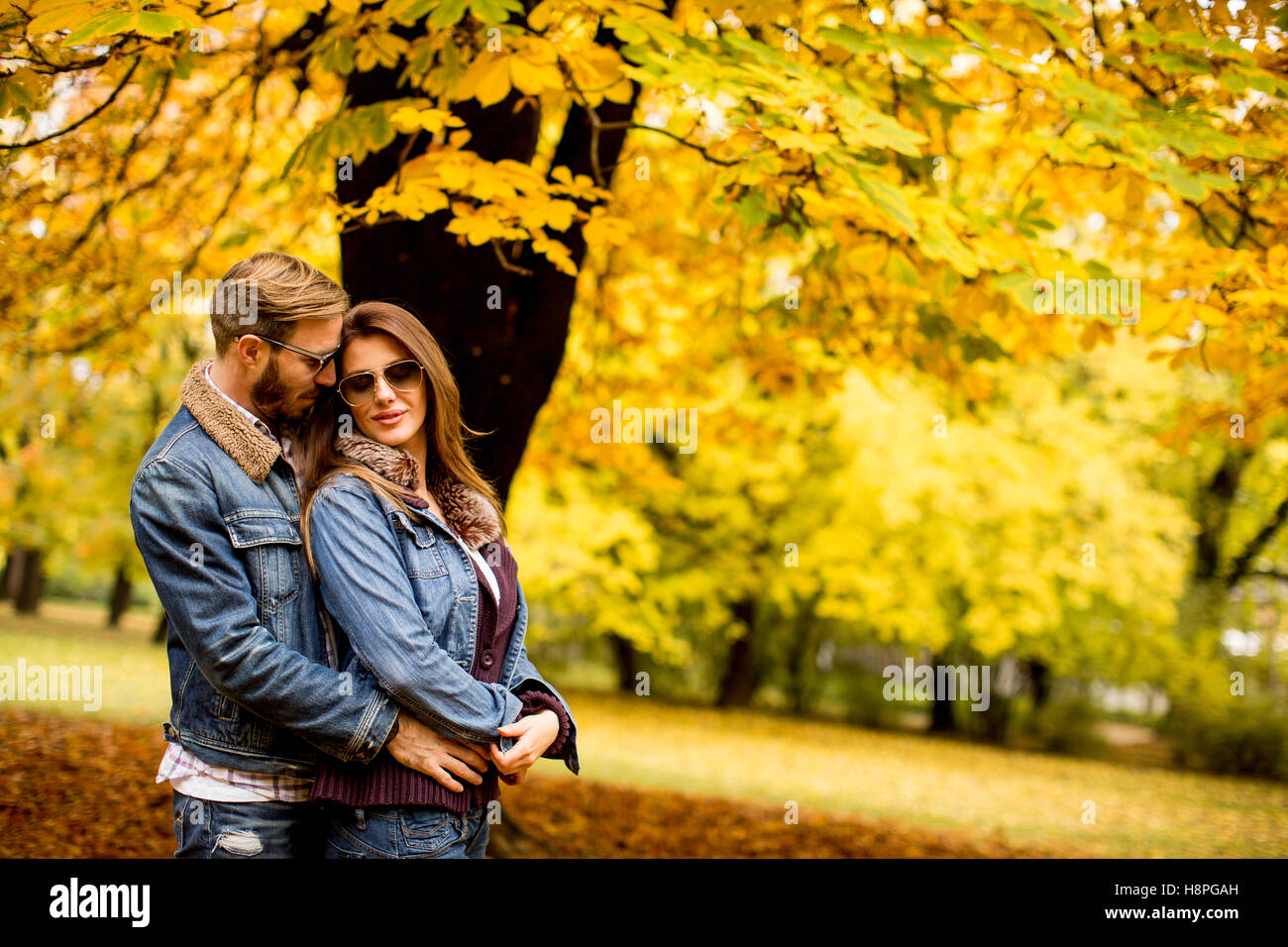 Young couple posing in the autumn park Stock Photo - Alamy