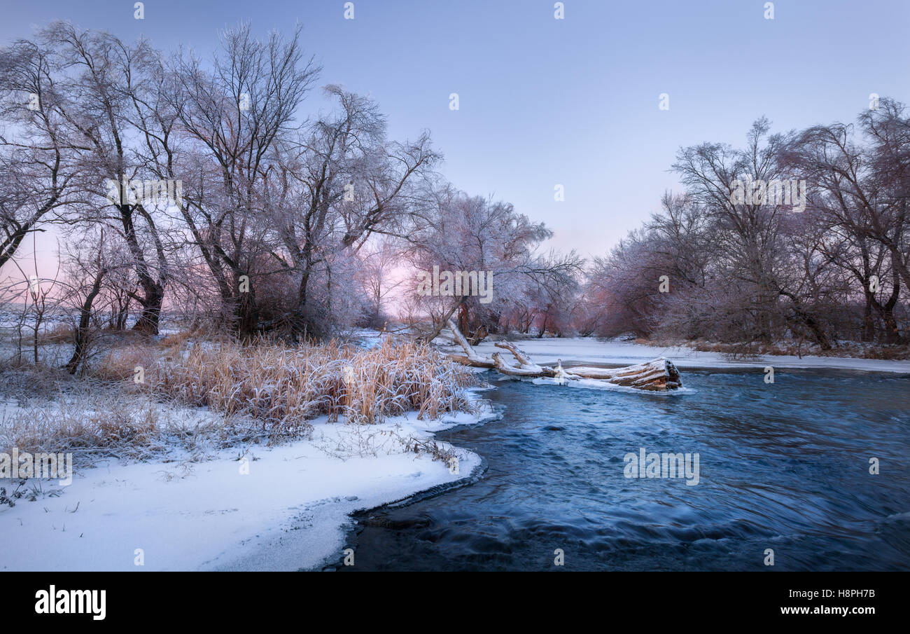 Winter landscape with snowy trees, beautiful frozen river and yellow reeds at sunset. Winter forest. Season. Scenery with winter Stock Photo