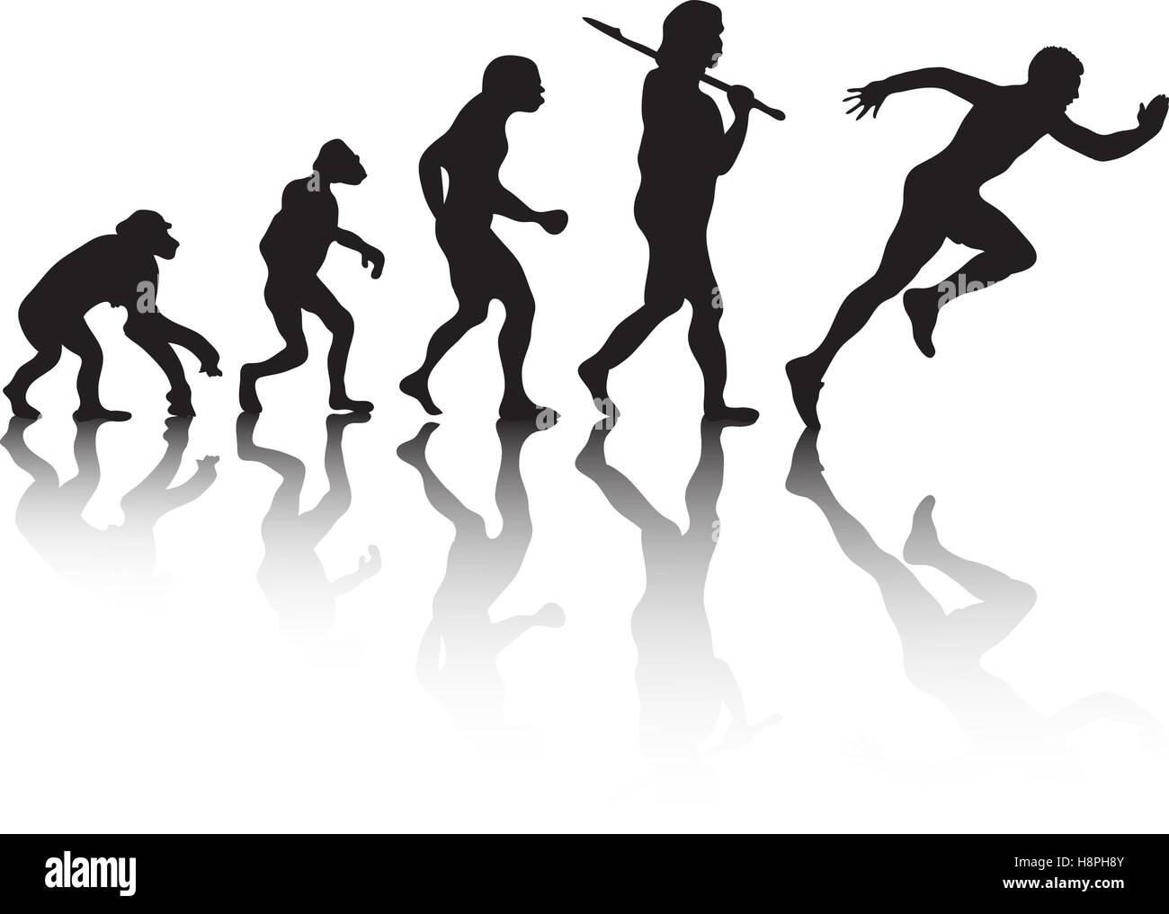 The evolution, silhouette people. Darwin s theory. Vector illustration  Stock Vector Image & Art - Alamy