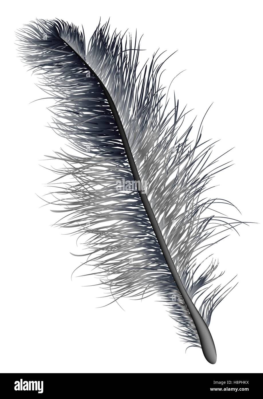 feather black isolated on a white background Stock Vector Image & Art ...