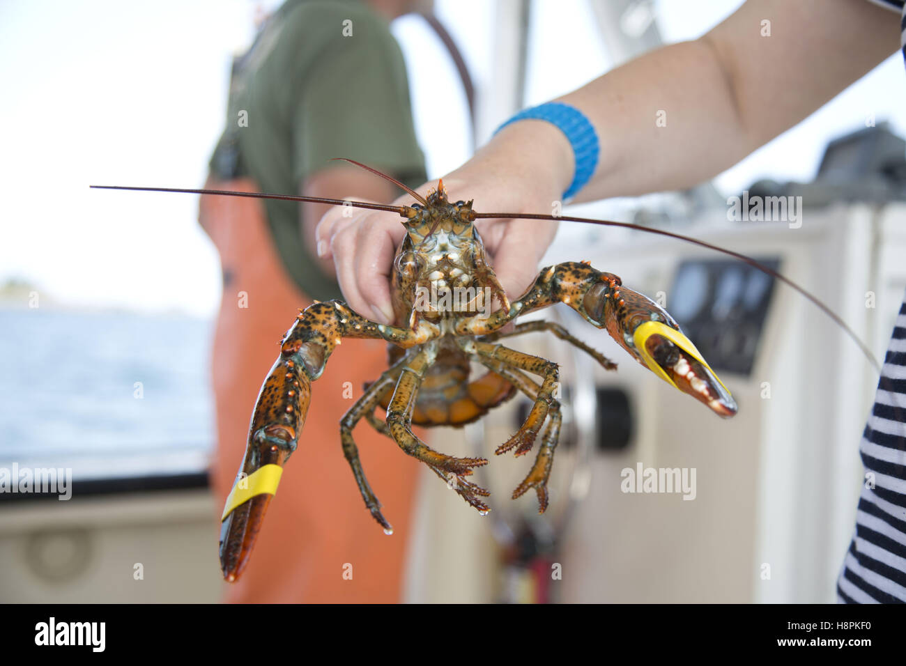 Fishing tour hires stock photography and images Alamy
