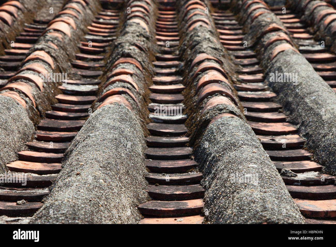 Close up of Chinese rooftop Stock Photo - Alamy
