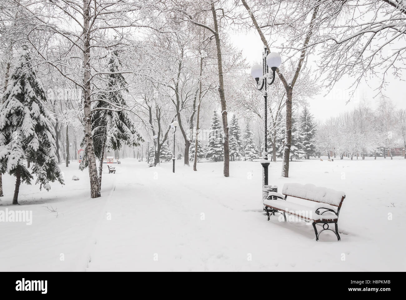 Snowy landscape with benches in the winter city park, cityscape Stock ...