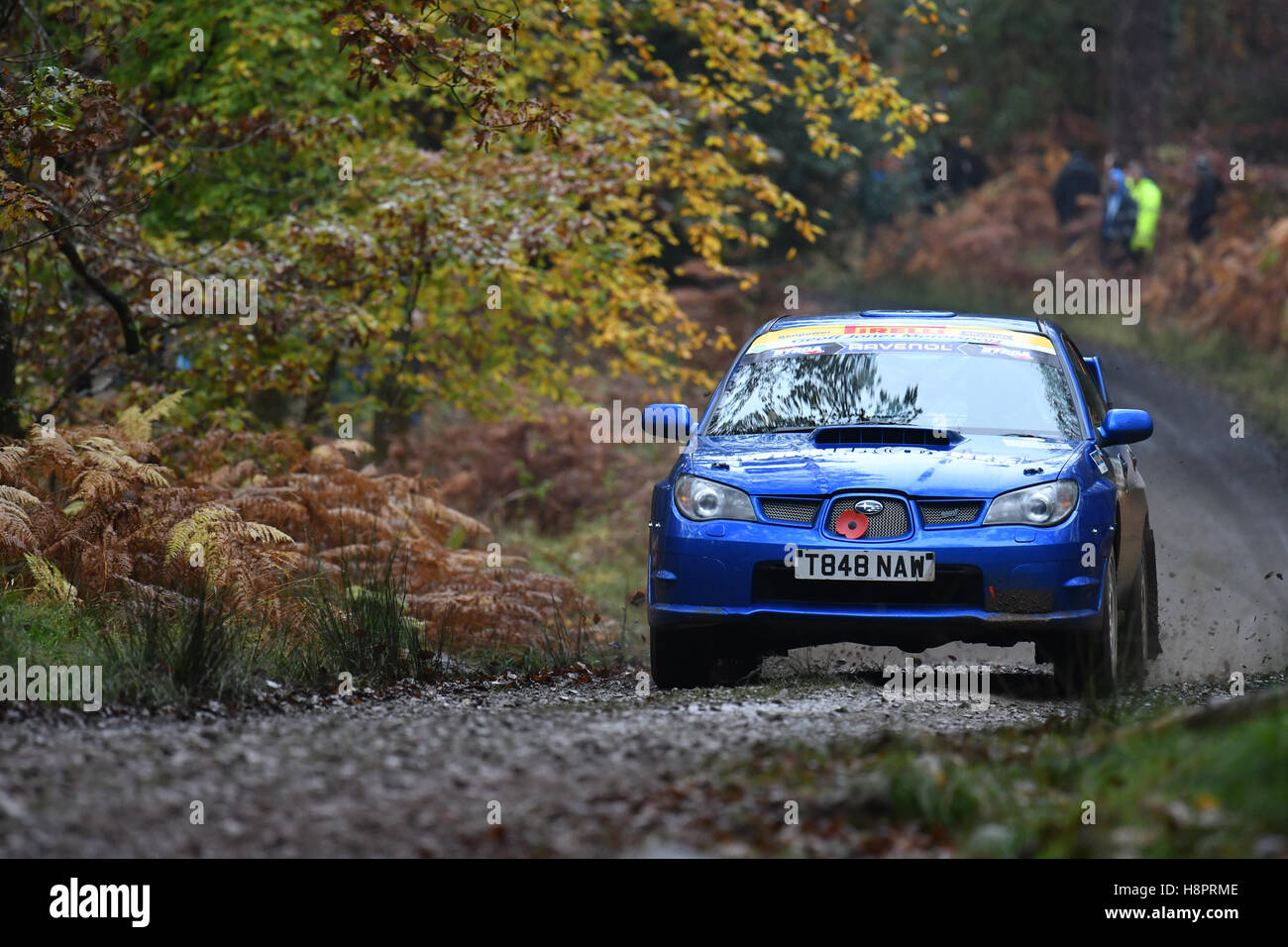 A rally car on the Crabtree stage of the 2016 Wyedean Rally in the Forest of Dean, UK. Stock Photo