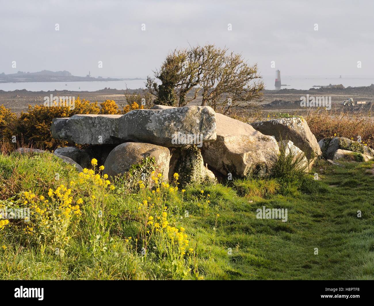 Romped Romped hi-res stock photography and images - Alamy