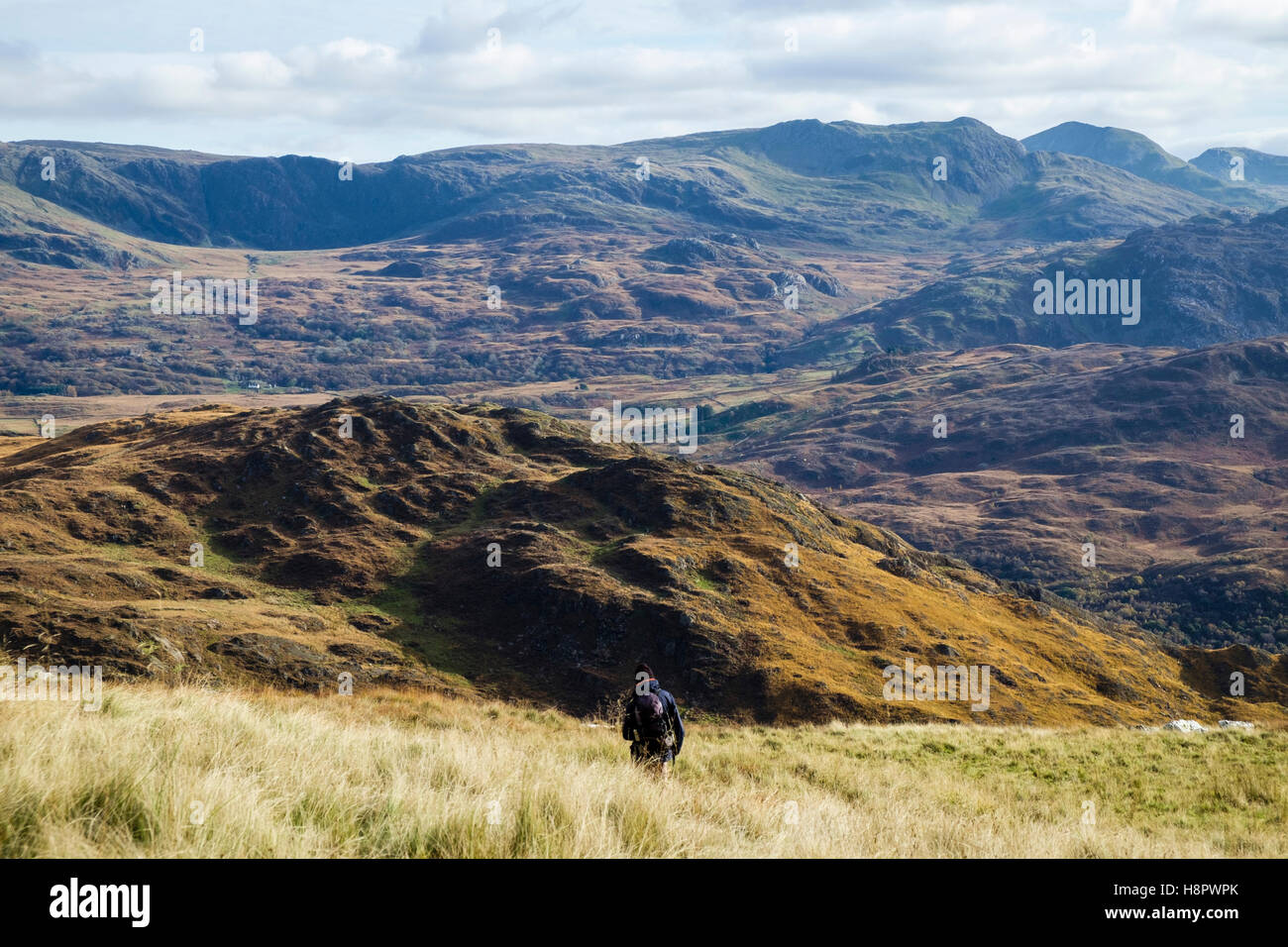 One hiker descending from Yr Aran with Cnicht in view across Nant Gwynant valley in Snowdonia. Beddgelert Gwynedd North Wales UK Stock Photo