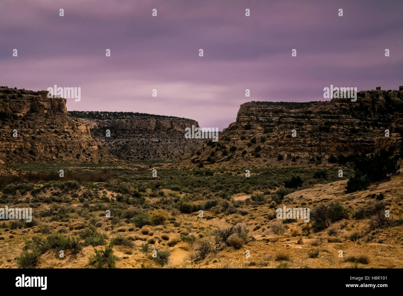 Coyote Canyon, New Mexico. Navajo Nation Stock Photo Alamy