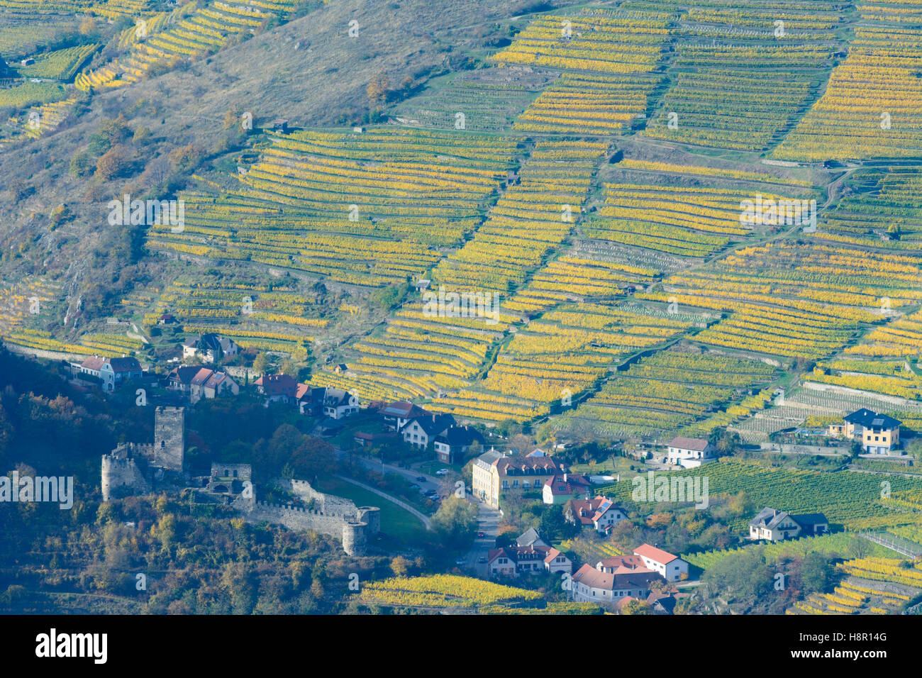 Spitz: Hinterhaus Castle, vineyards, vineyard estate, Wachau, Niederösterreich, Lower Austria, Austria Stock Photo