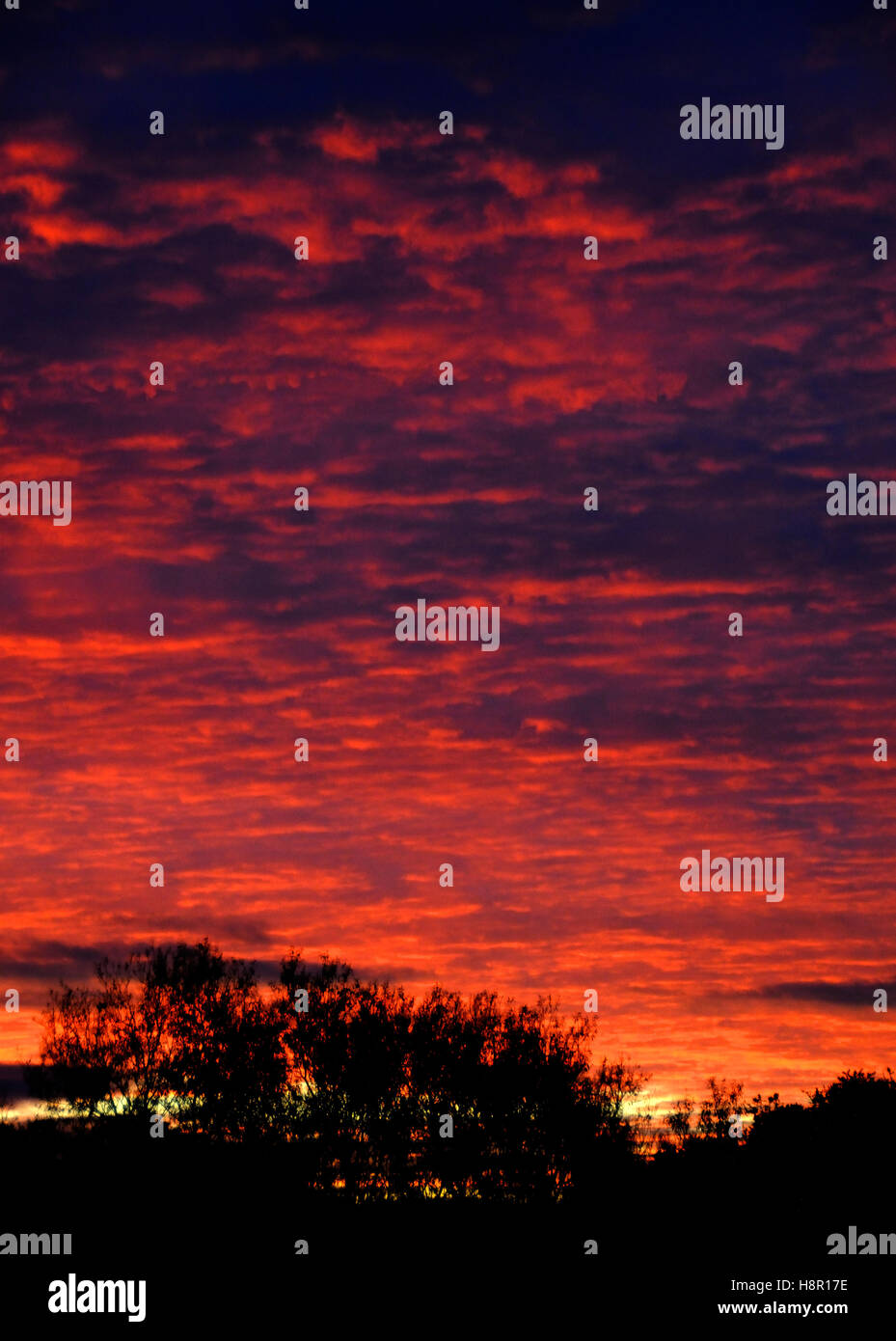 Autumn sunrise Stock Photo