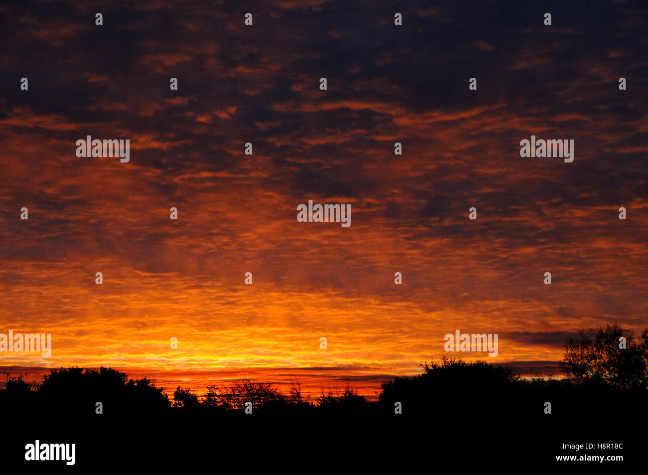 Autumn sunrise Stock Photo