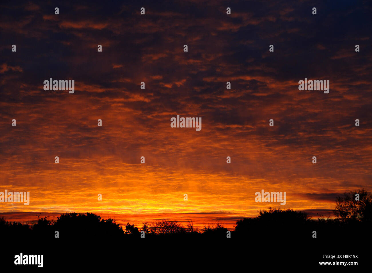 Autumn sunrise Stock Photo