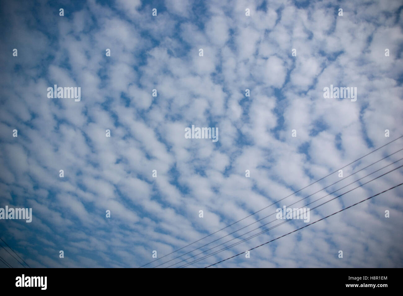 Beautiful white blue clouds hi-res stock photography and images - Alamy