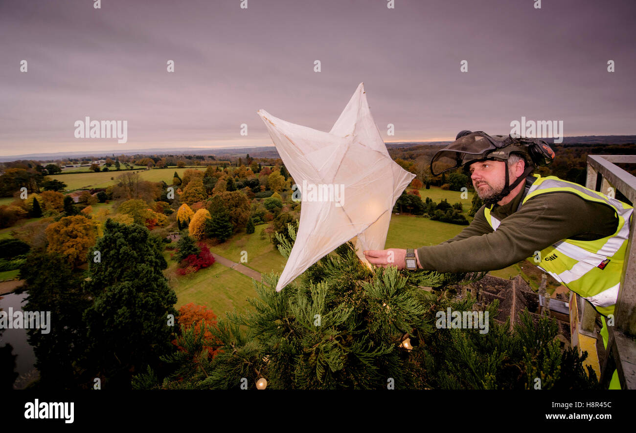 Wakehurst place, West Sussex, UK. 15th November, 2016. Stephen Robinson places the star at the top of the tree. From 8am a team of Wakehurst staff adorned the tree with 1800 LED lights. They were aided in their task by two elevated moving platforms. Workers carefully passed the strings of lights to professional tree climbers that were suspended throughout the tree branches. It took seven hours to complete the task. Credit:  Jim Holden/Alamy Live News Stock Photo