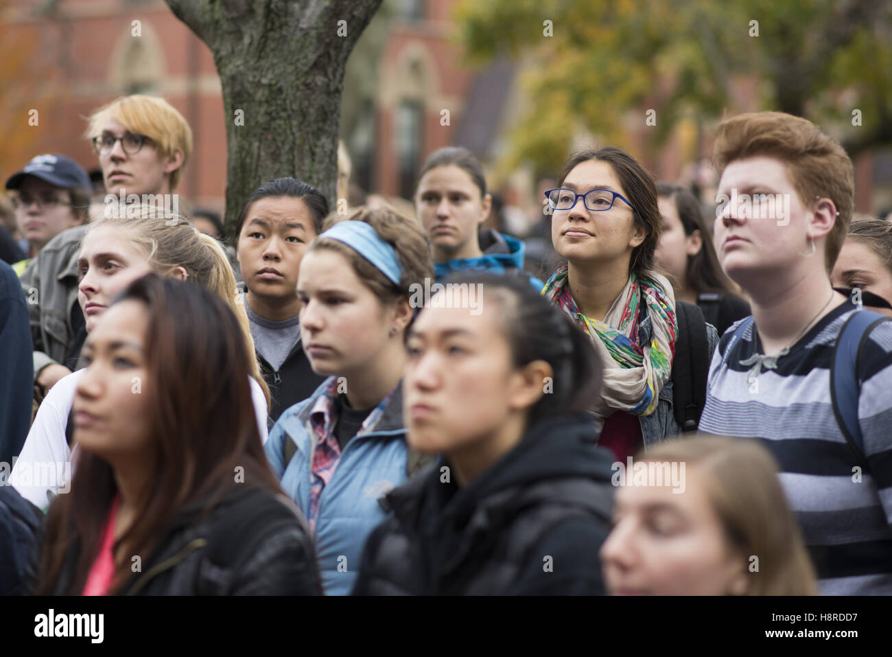 Medford, Massachusetts, USA. 16th Nov, 2016. After walking out of class, hundreds of Tufts University students join community members in a rally to demand that the university become a sanctuary campus for undocumented students. Credit:  Evan Sayles/ZUMA Wire/Alamy Live News Stock Photo