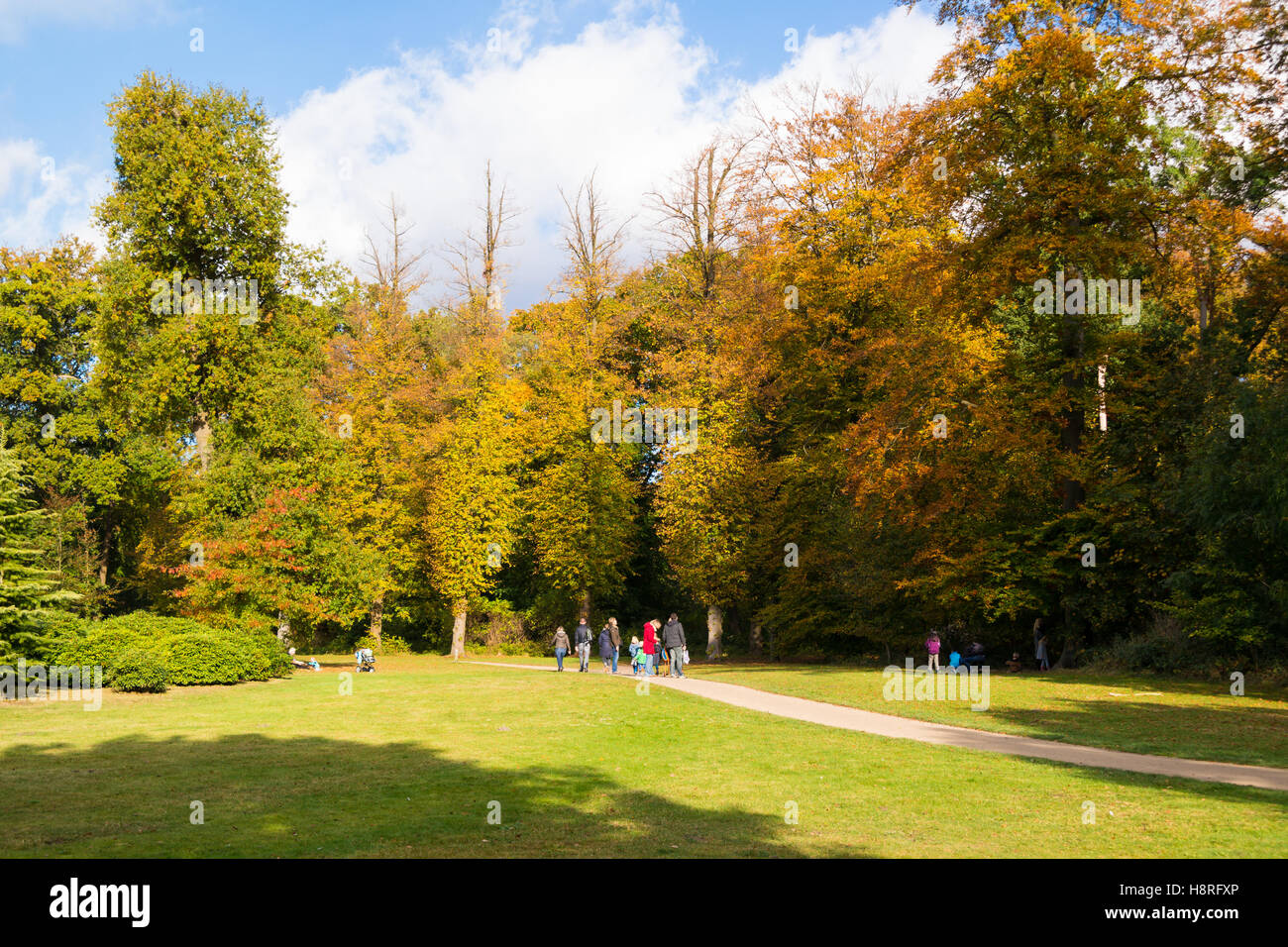 People enjoying sunshine in park of country estate Boekesteyn in autumn, 's Graveland, Netherlands Stock Photo