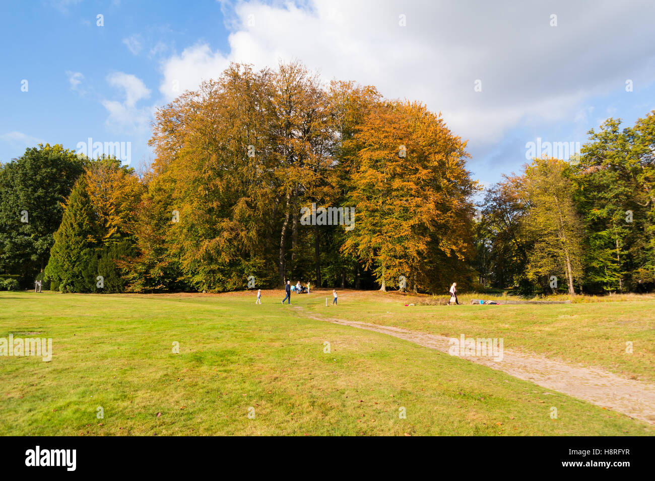 Autumn trees, lawn and people enjoying a sunny day in fall on estate Boekesteyn, 's Graveland, Netherlands Stock Photo