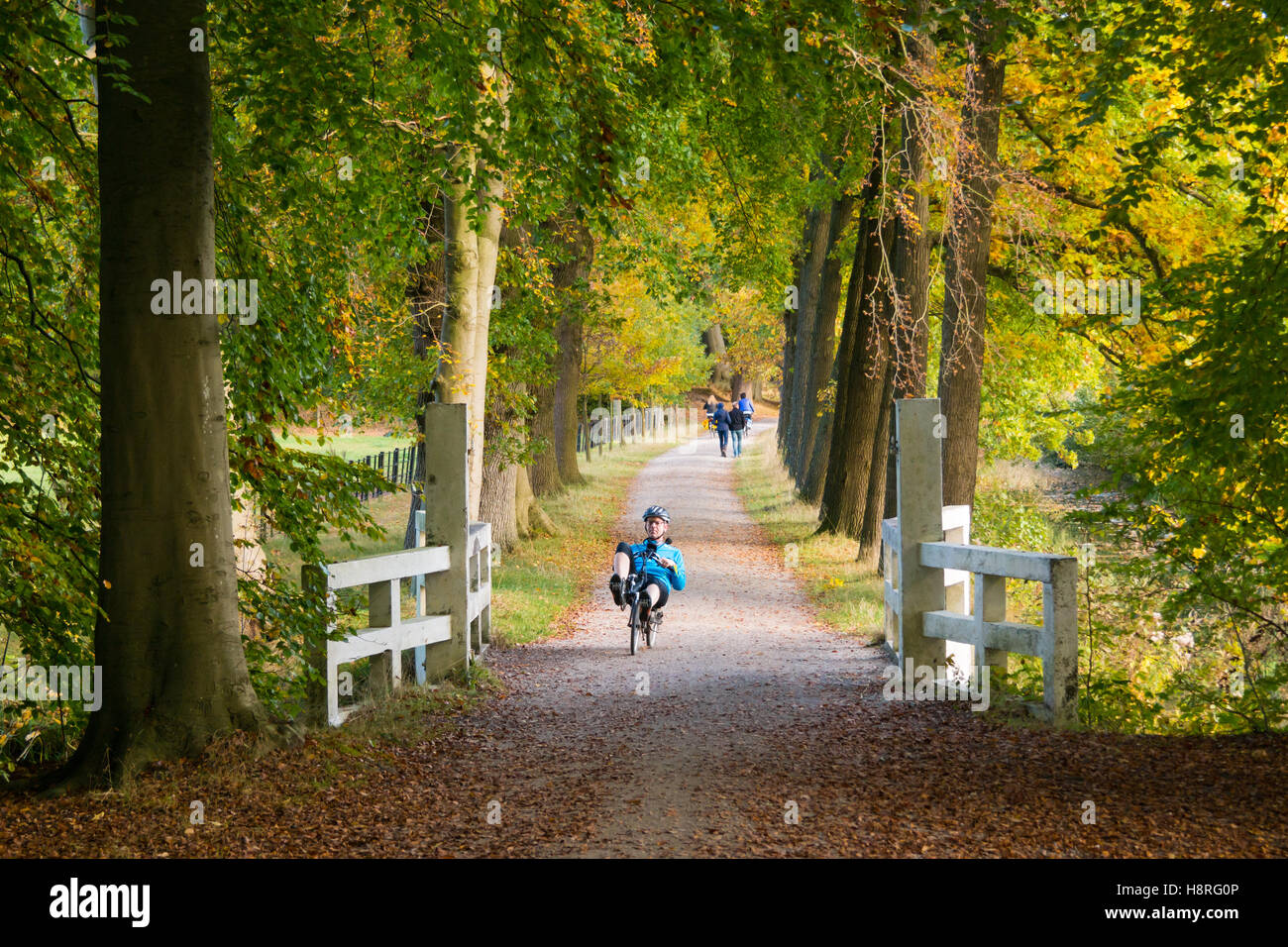 Man riding recumbent bicycle and people walking on path in autumn in wood of estate Boekesteyn, 's Graveland, Netherlands Stock Photo
