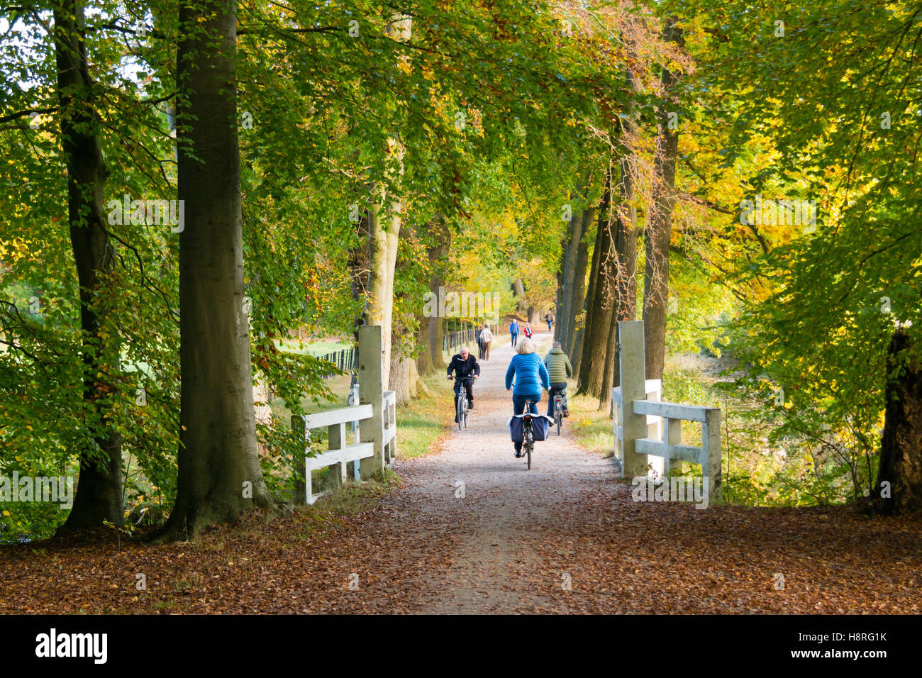 Active people riding bicycles on path in woods in autumn on estate Boekesteyn, 's Graveland, Netherlands Stock Photo