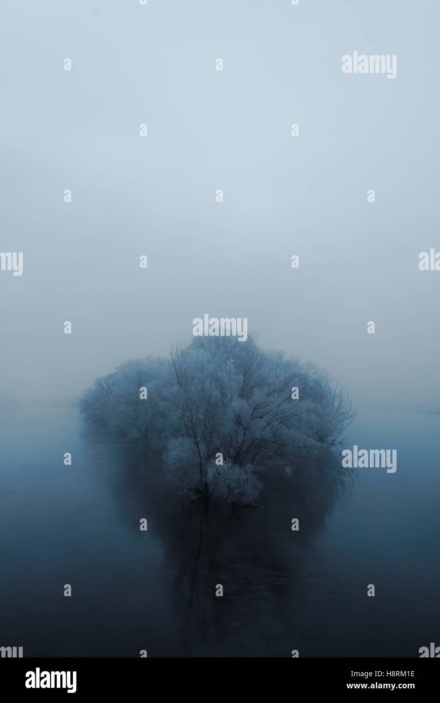 Trees covered fog cold temperature hi-res stock photography and images ...