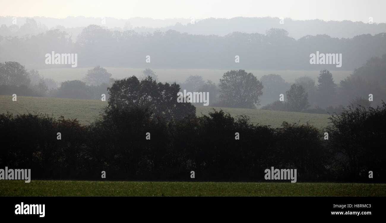 Hedgerows and pasture land seen from the Peddar's Way footpath near Ringstead in North Norfolk. Stock Photo