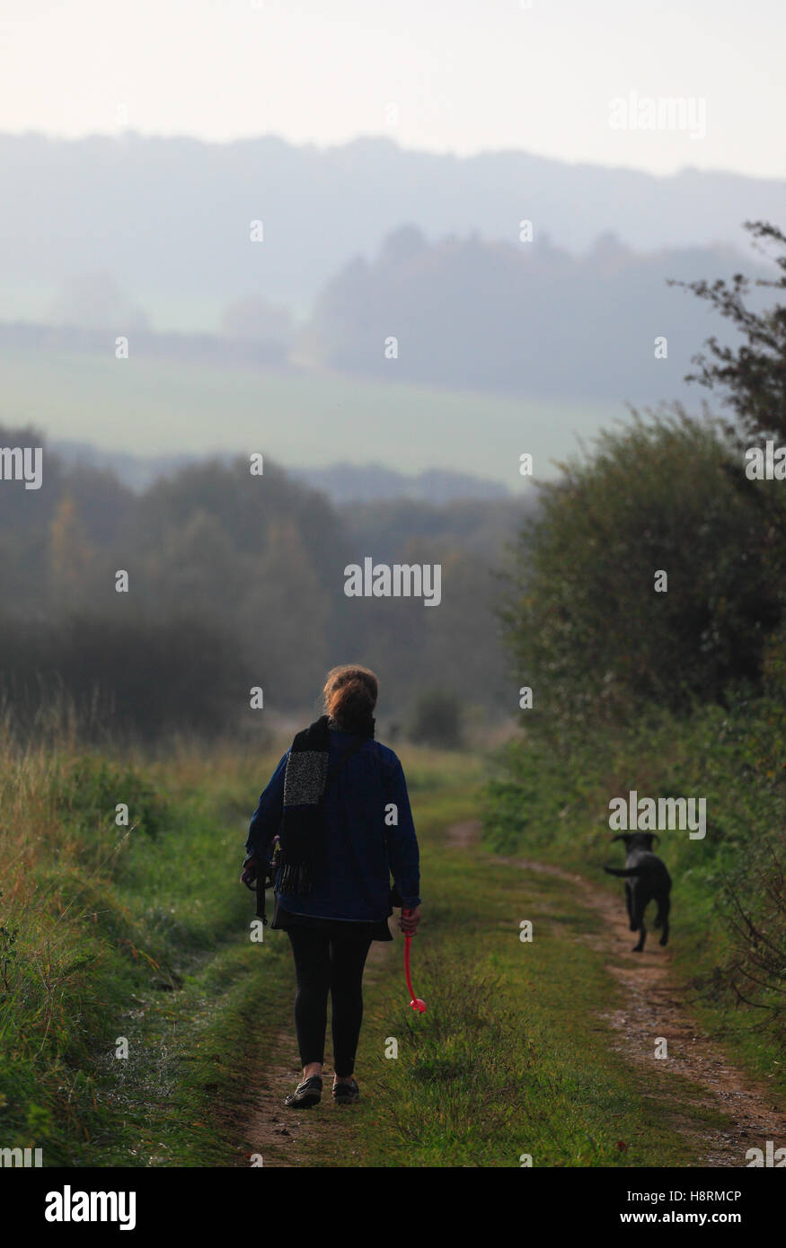 A woman walking her dog on the Peddar's Way footpath near Ringstead in North Norfolk. Stock Photo
