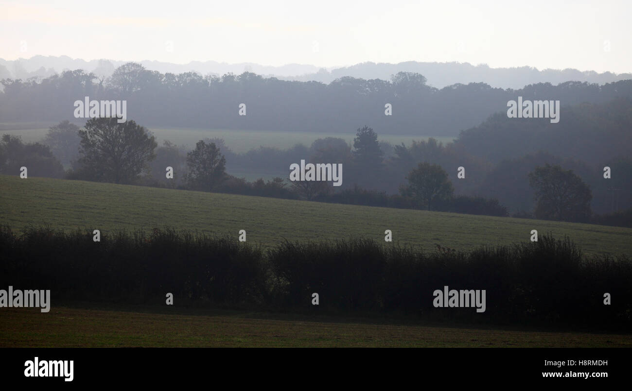 Hedgerows and pasture land seen from the Peddar's Way footpath near Ringstead in North Norfolk. Stock Photo
