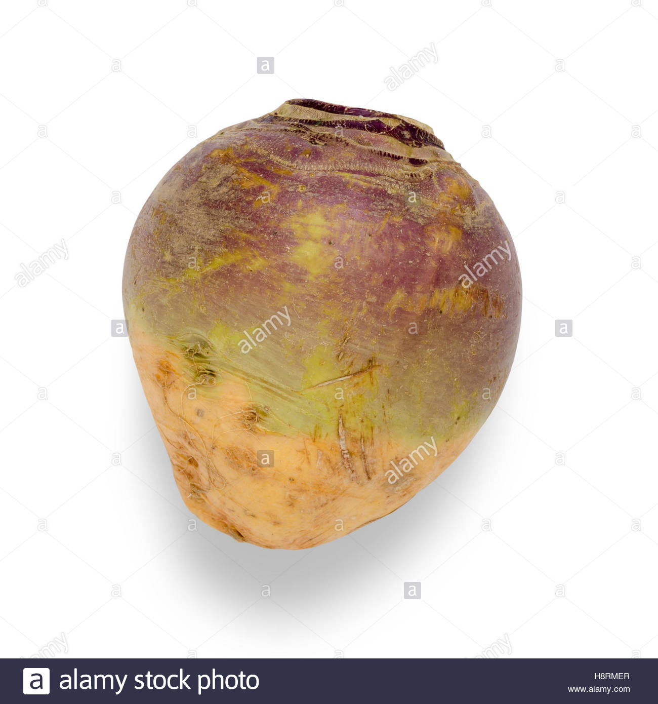 Swede Swede