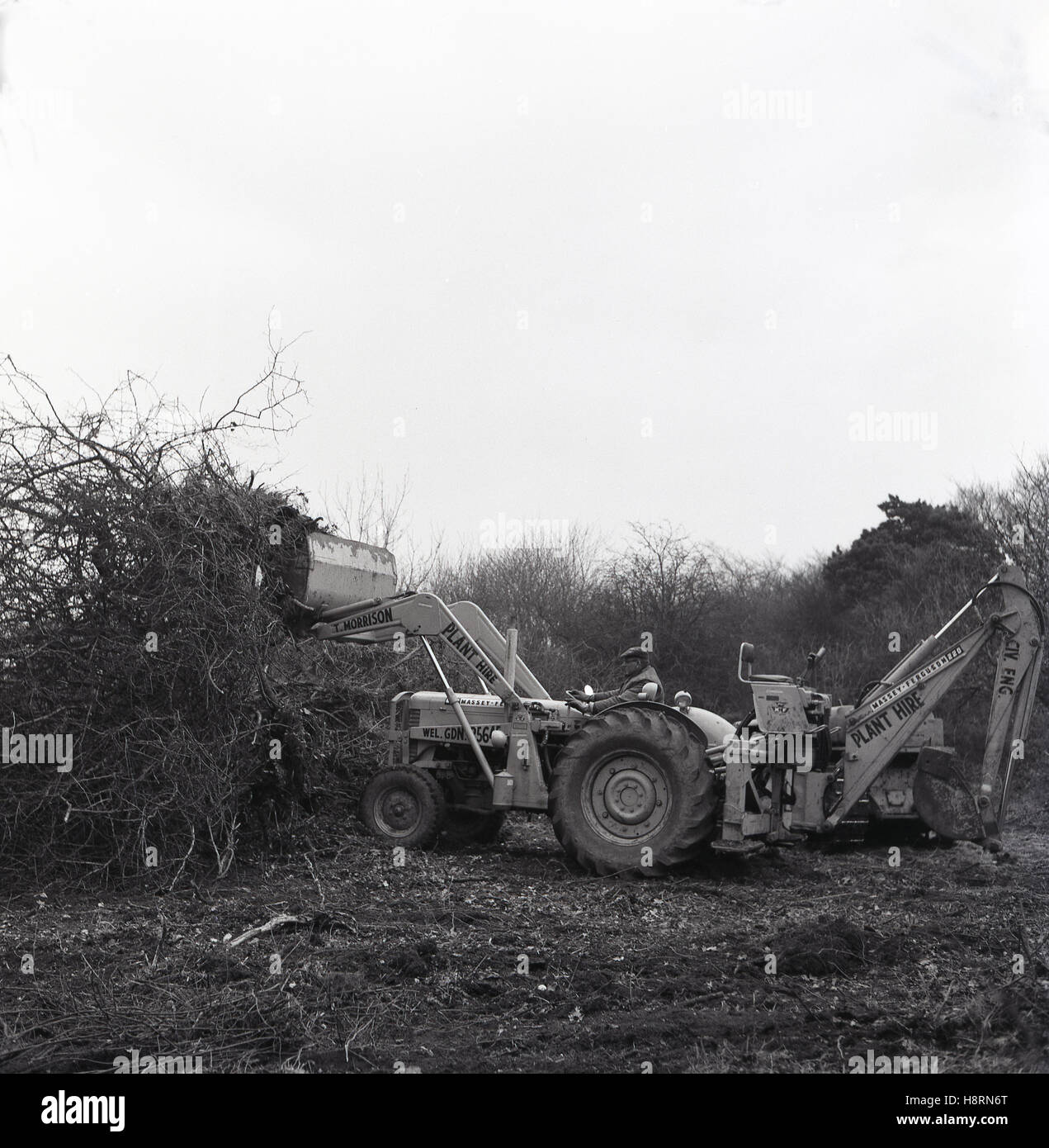 1965 Historical Mechanical Digger Or Backhoe Excavating Or Clearing Woodland Undergrowth Stock Photo Alamy