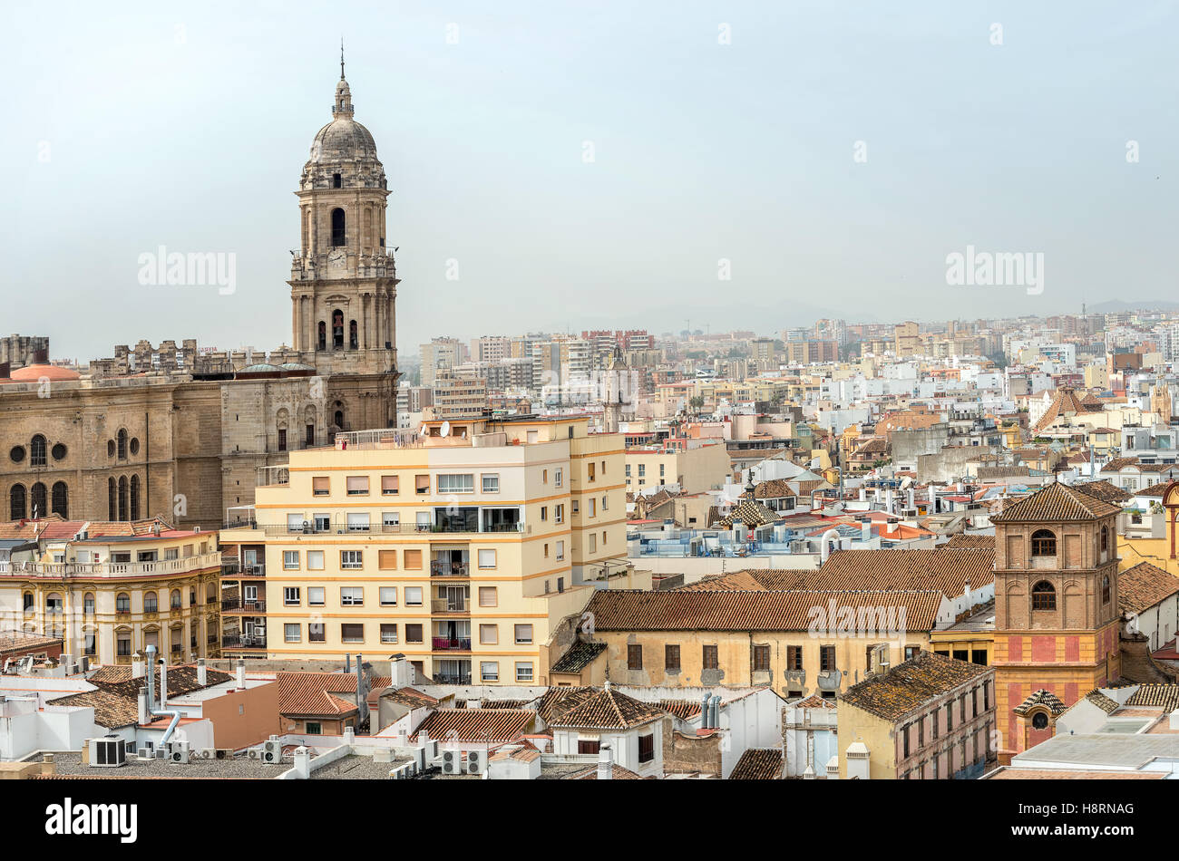 View of town and Malaga Cathedral. Andalusia, Spain Stock Photo