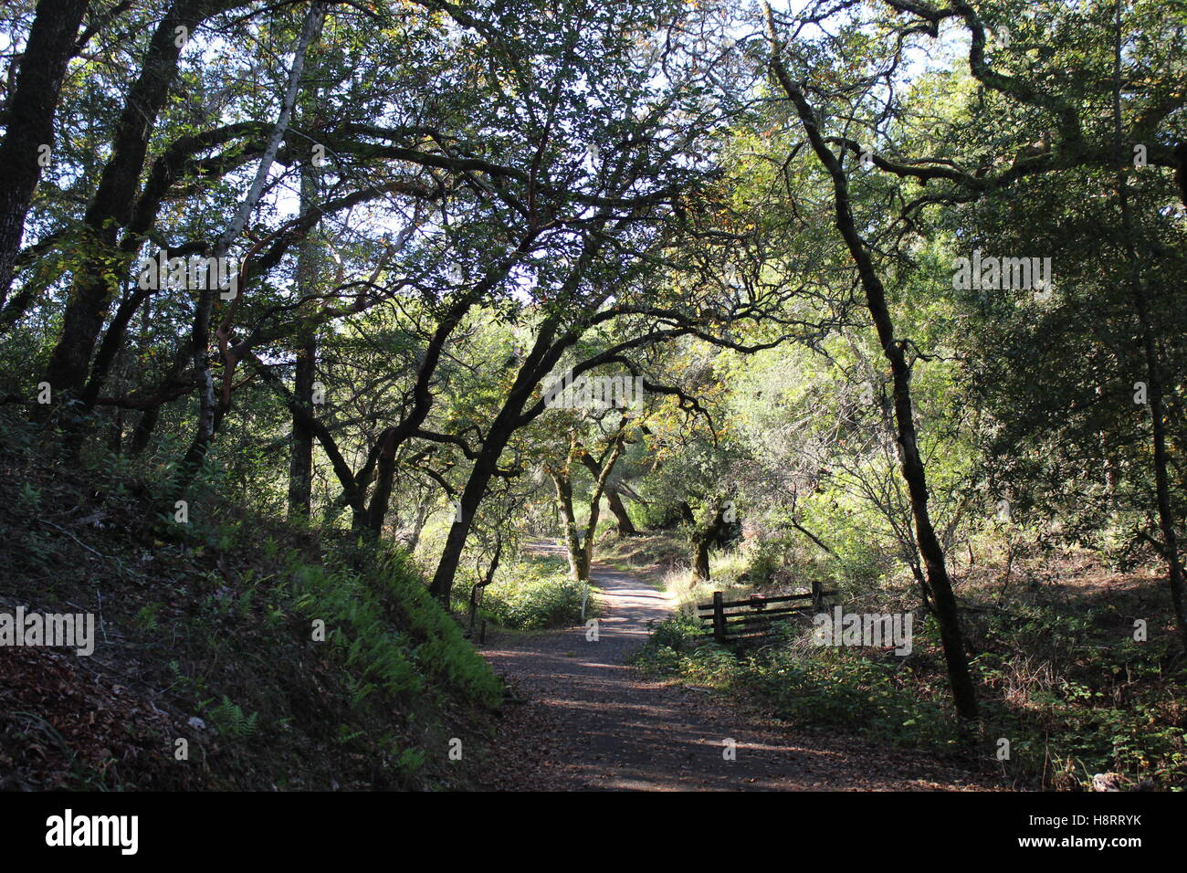 Jack london state park hi res stock photography and images alamy