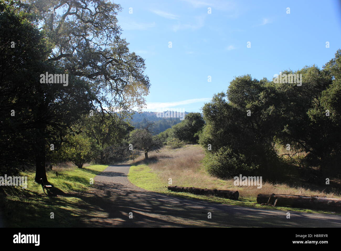 Jack london state park hi res stock photography and images alamy
